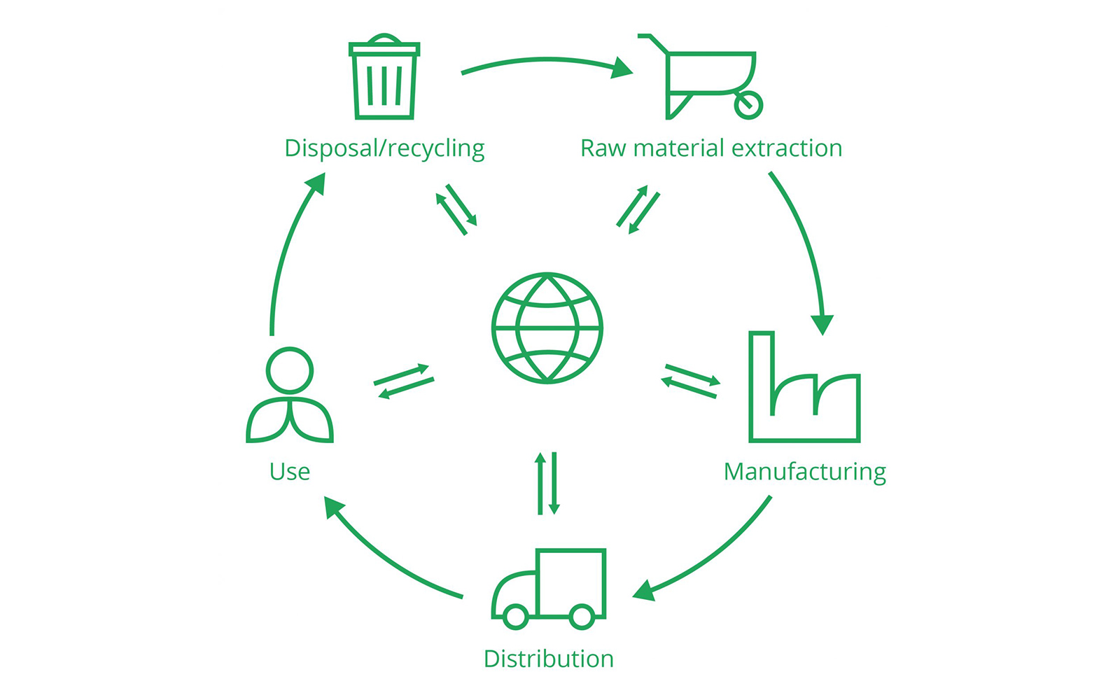 life cycle