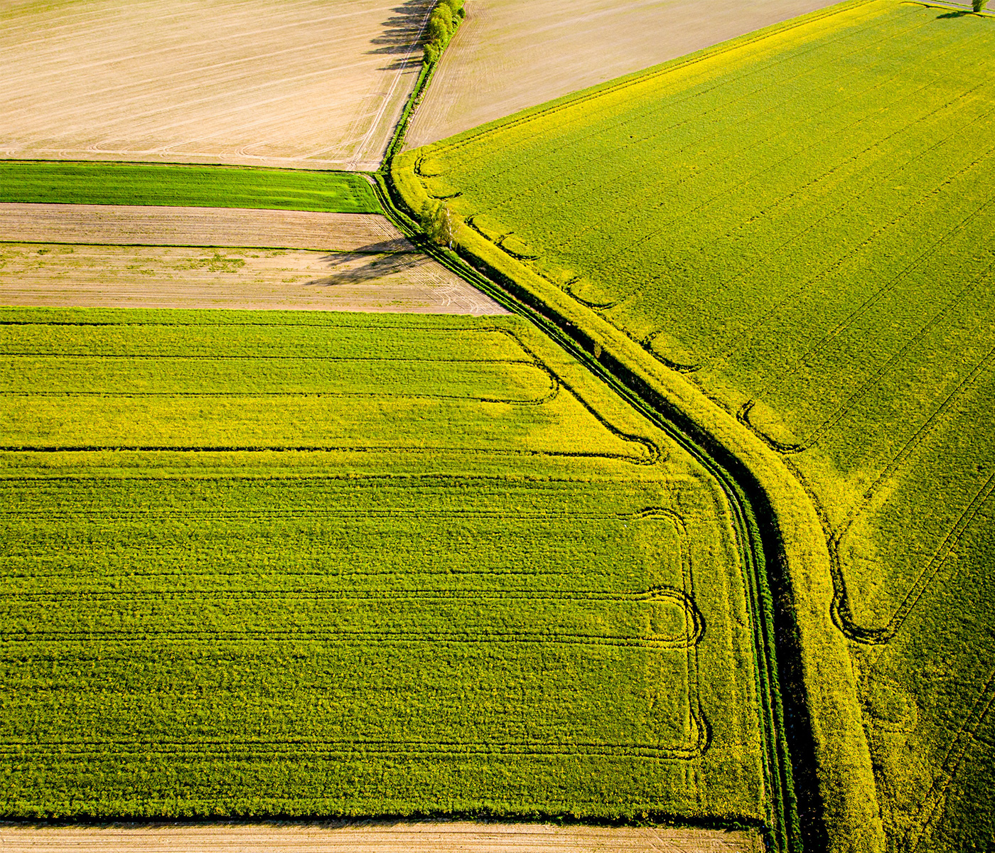 Product Environmental Footprint Category Rules PEFCR PR Sustainability