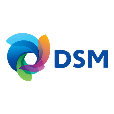 DSM