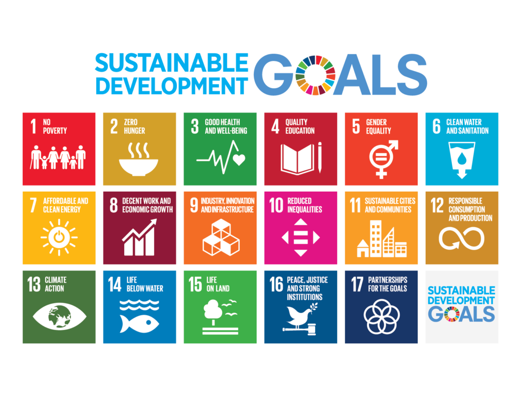 The 17 UN Sustainable Development Goals (SDGs)