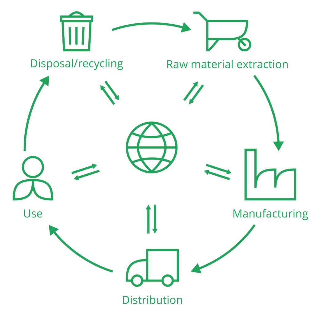 Diagram of life cycle stages 