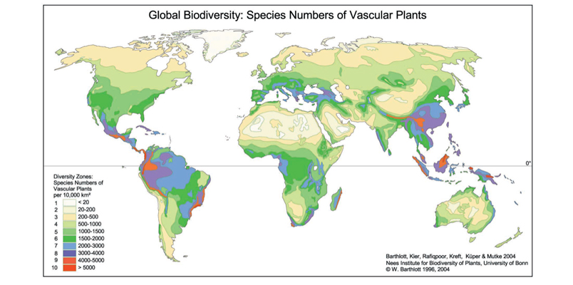 Global Biodiversity: Vascular Species Mapping